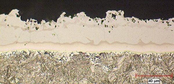 Appearance of the coating after hot stamping (optical microscopy)